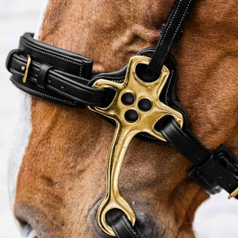 Hackamore Dyon Collection Czarne