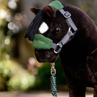 Kantar i uwiąz Toy Pony Vogue Zielony