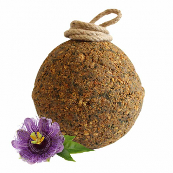 Stabilna Piłka Prequalm 1,8kg