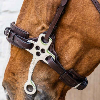 Hackamore New English Collection Brązowe
