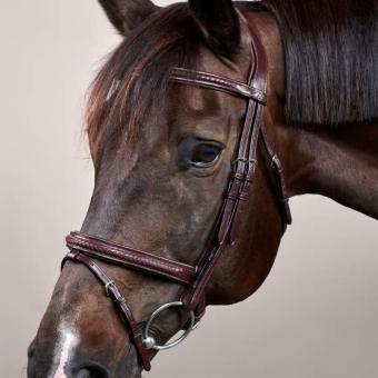 Ogłowie kombinowane Plaited New English Collection Brązowe