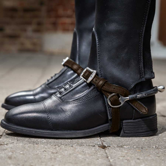 Pasy do Ostrog Brązowe