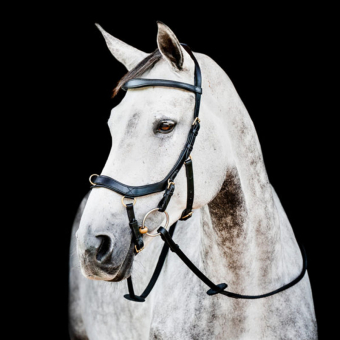 Ogłowie Micklem 2 Multibridle czarne