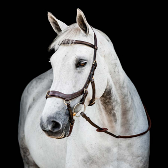 Micklem 2 Multi Wędzidło Ciemnobrązowe