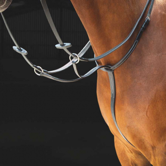 Martingal Salisbury Czarne