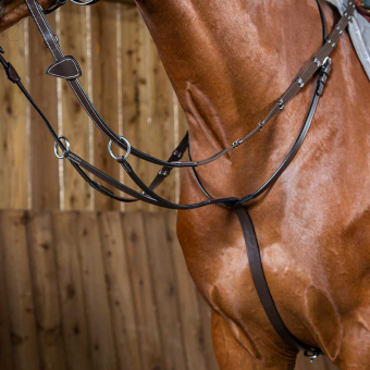 Martingal biegowy WC Brązowy