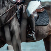 Oficerki jeździeckie Veganza Brązowe Oficerki jeździeckie Veganza Brązowe