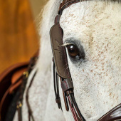 Fokus / Zasłony 2 sztuki Brązowe Fokus / Zasłony 2 sztuki Brązowe