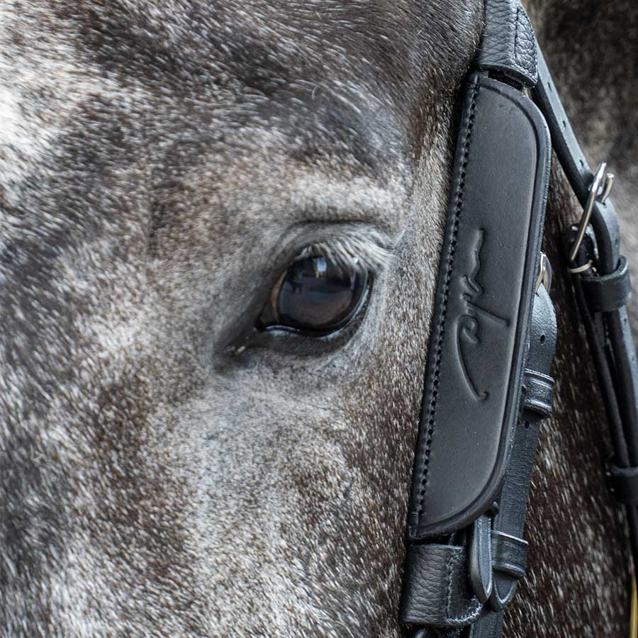 Fokus / Zasłony 2 sztuki Czarne