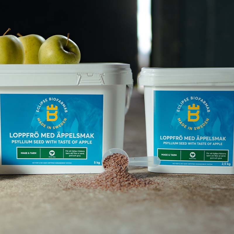 Nasiona psyllium o smaku jabłkowym 2,5kg