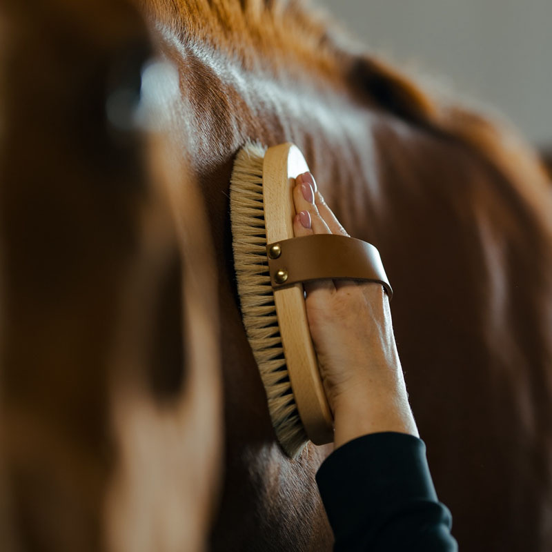 Szczotka do pielęgnacji z skórzanym paskiem Tagel Brązowa