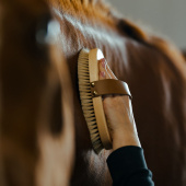 Szczotka do pielęgnacji z skórzanym paskiem Tagel Brązowa Szczotka do pielęgnacji z skórzanym paskiem Tagel Brązowa