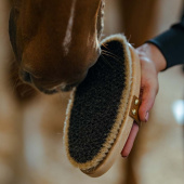Szczotka do pielęgnacji z skórzanym paskiem Tagel Brązowa Szczotka do pielęgnacji z skórzanym paskiem Tagel Brązowa