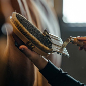 Szczotka do pielęgnacji z skórzanym paskiem Tagel Brązowa Szczotka do pielęgnacji z skórzanym paskiem Tagel Brązowa