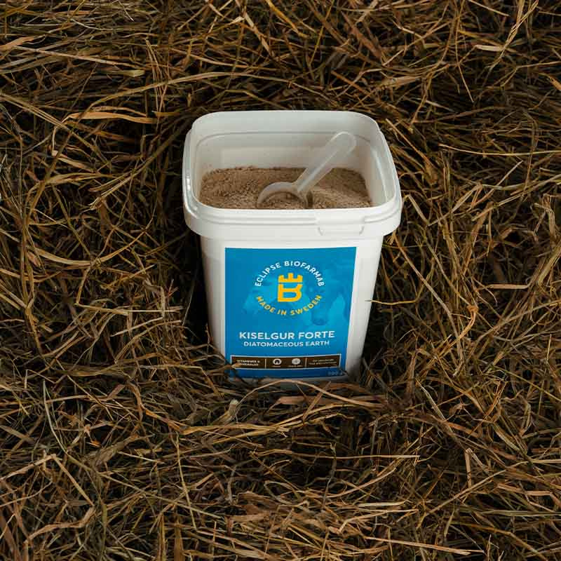 Ziemia okrzemkowa Forte 0,5 kg