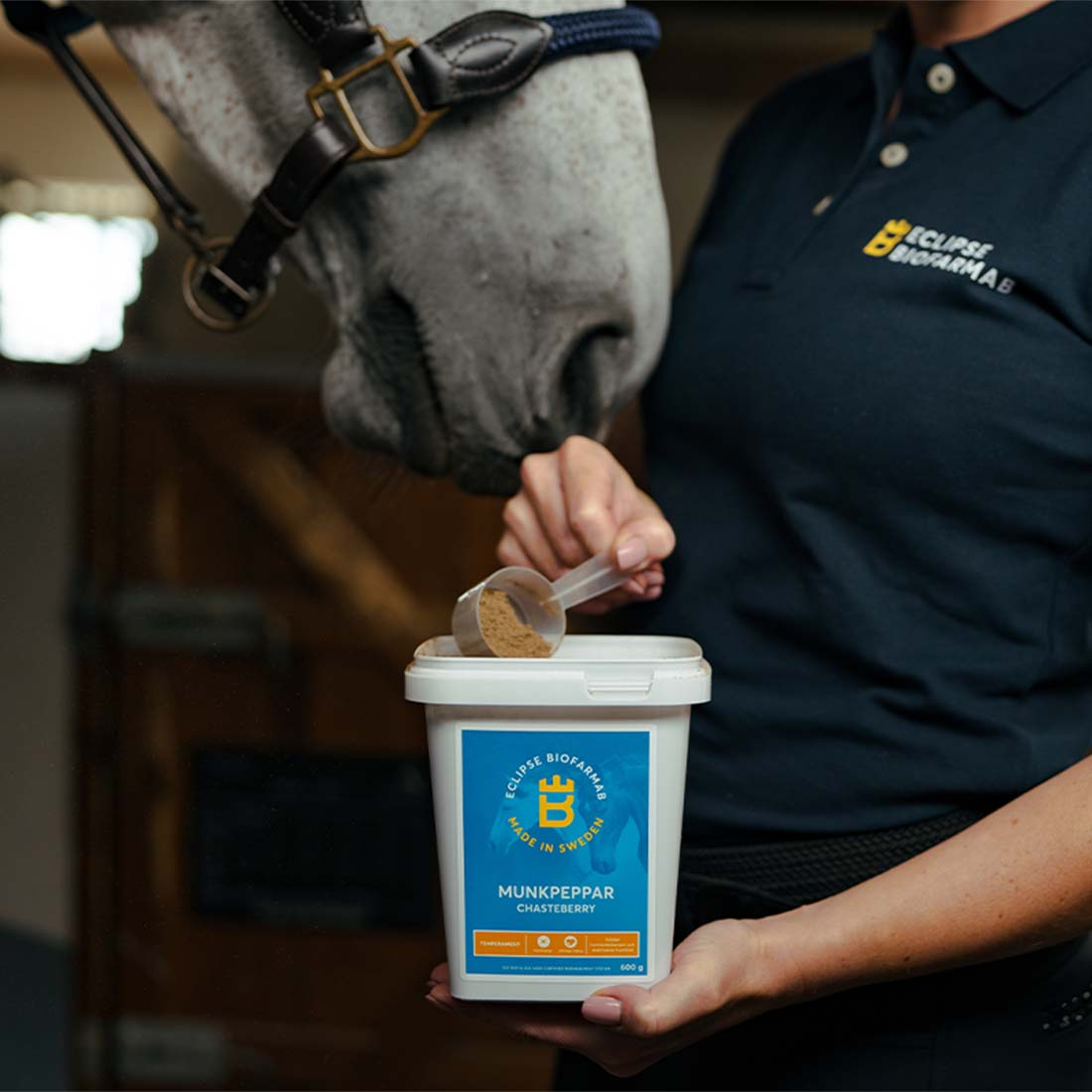 Niepokalanek pospolity