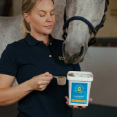 Niepokalanek pospolity Niepokalanek pospolity