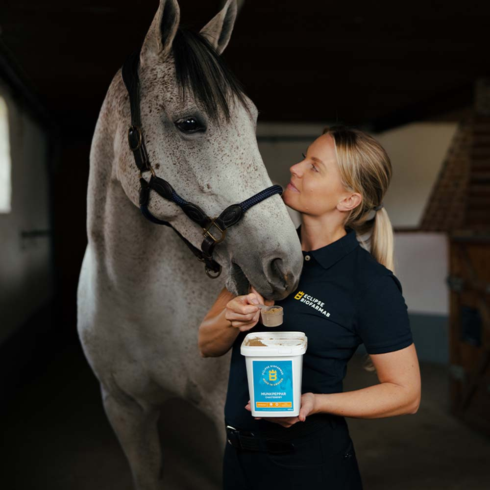 Niepokalanek pospolity