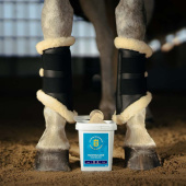 Hoofbuilder Hoofbuilder