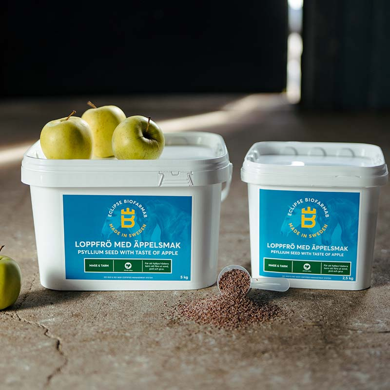 Nasiona psyllium o smaku jabłkowym 5kg