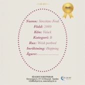 Konia na kiju Fendi Konia na kiju Fendi