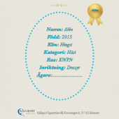 Konia na kiju Abbe Konia na kiju Abbe