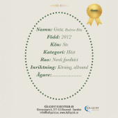 Konia na kiju Greta Konia na kiju Greta