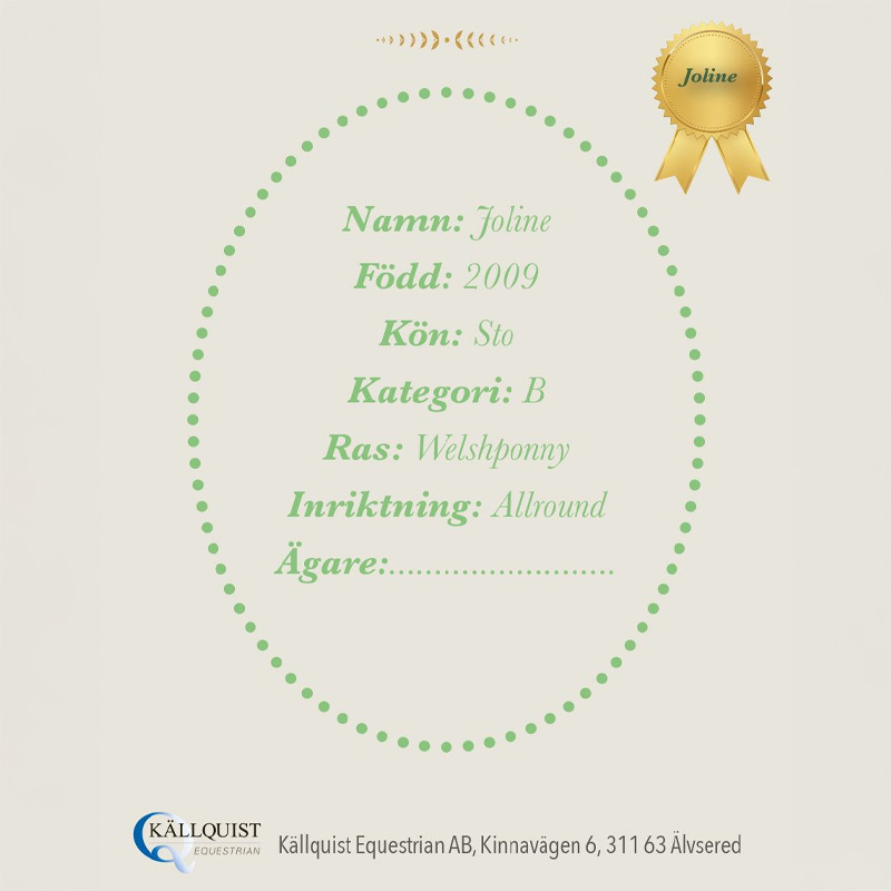 Konia na kiju Joline