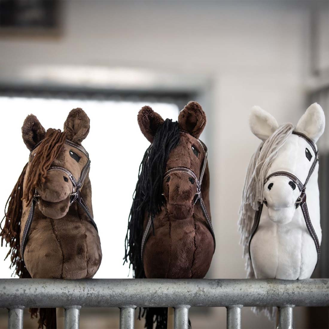 Konia na kiju Joline