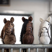 Konia na kiju Joline Konia na kiju Joline