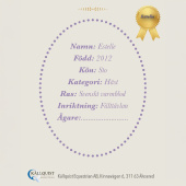 Konia na kiju Estelle Konia na kiju Estelle