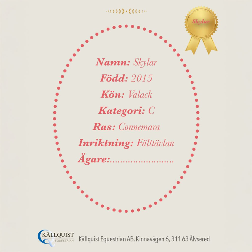 Konia na kiju Skylar