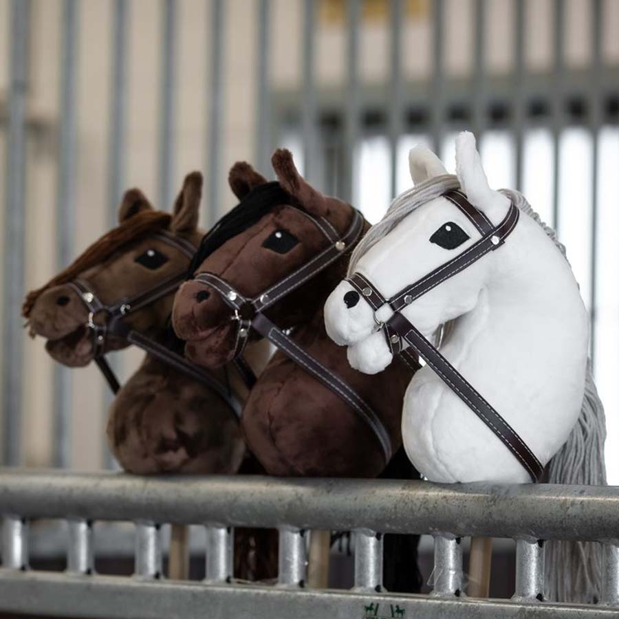 Konia na kiju Skylar