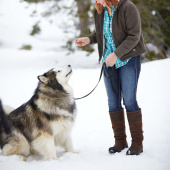 Kalosze Langdale H2O Brązowe Kalosze Langdale H2O Brązowe