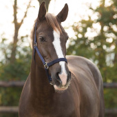 Ogłowie Slide Granatowe Ogłowie Slide Granatowe