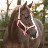 Ogłowie Slide Jasno Różowe Ogłowie Slide Jasno Różowe