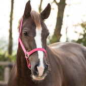Ogłowie Slide Fuksjowe Ogłowie Slide Fuksjowe