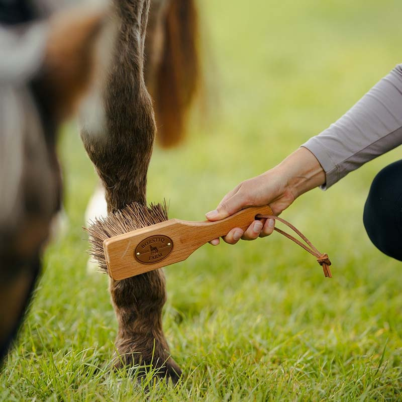 Szczotka Islänningen Bassine Brown