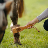 Szczotka Islänningen Bassine Brown Szczotka Islänningen Bassine Brown