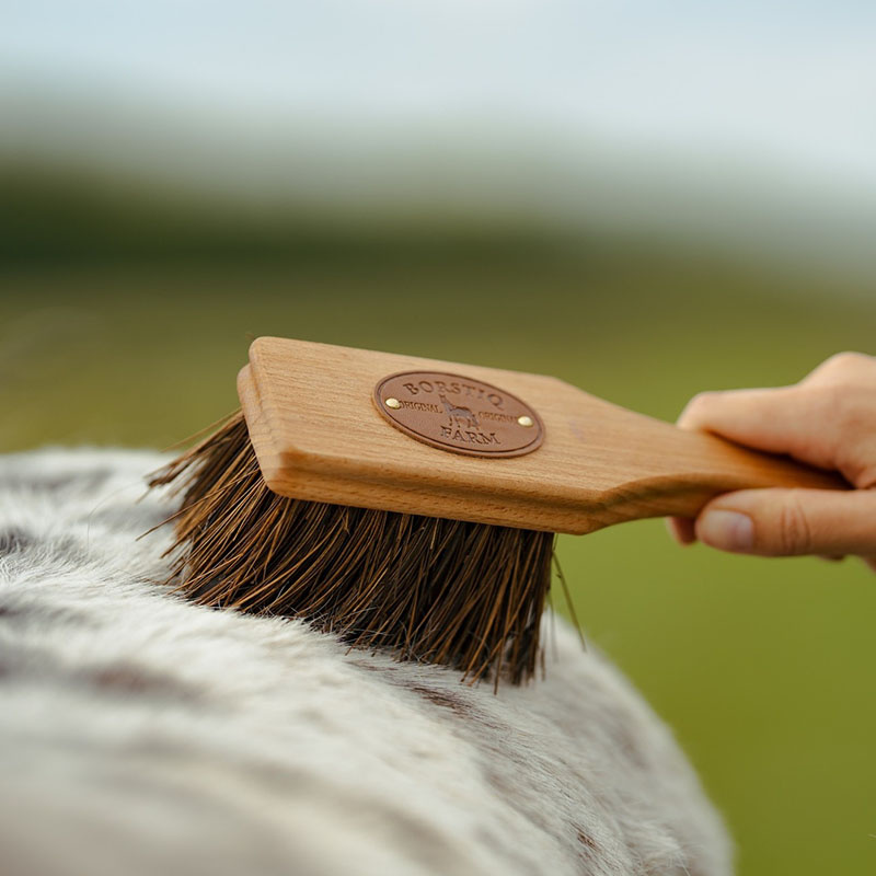 Szczotka Islänningen Bassine Brown