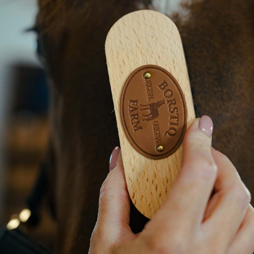 Szczotka do Grzywy PP-borst Brown