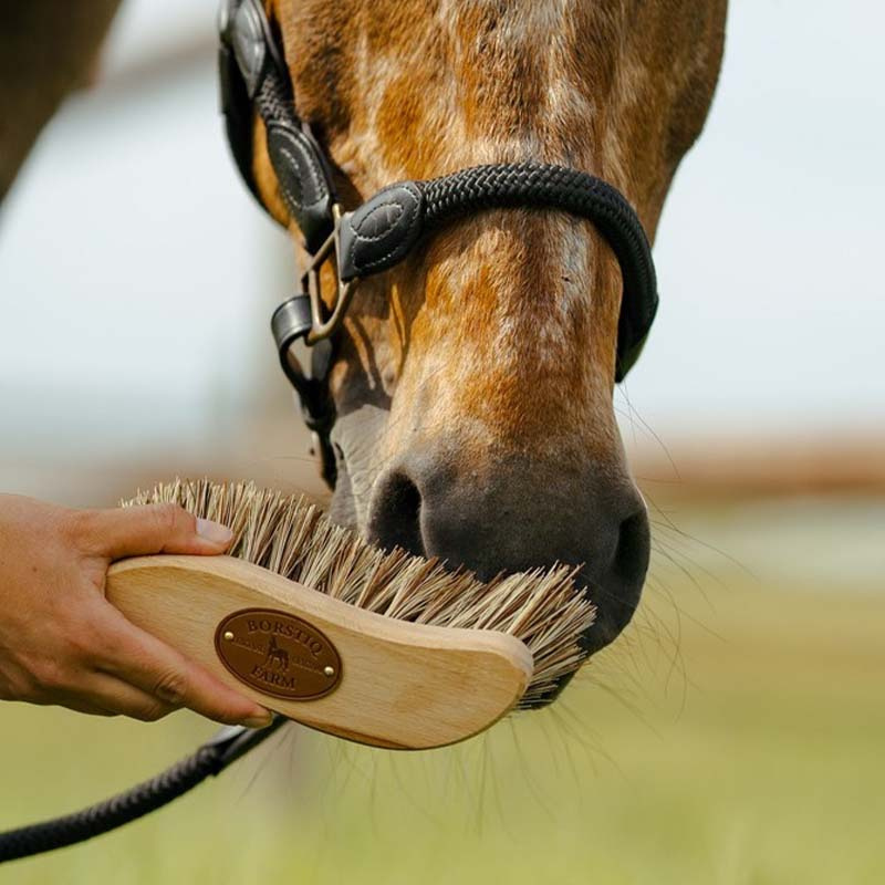 Szczotka S-Panel Unionmix Brown Medium