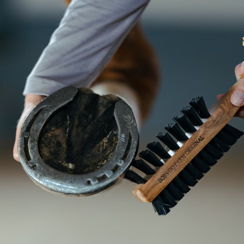 Szczotka do kopyt z wyciągaczem kopyt Dubbelsidig brązowa