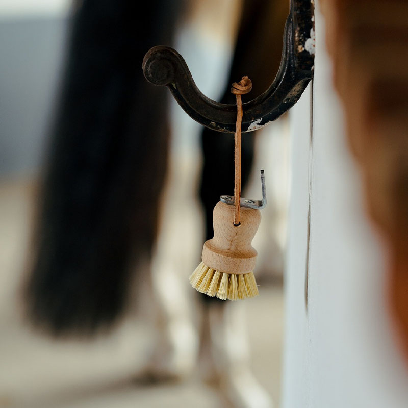 Szczotka do kopyt z wyciągaczem kopyt Rund brązowa