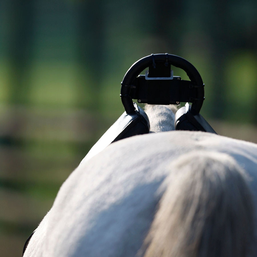 Alarm urodzin źrebiąt Foal Watch Premium