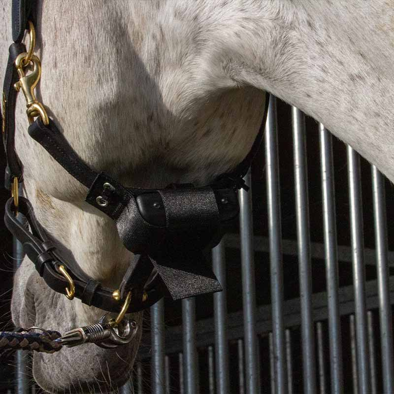 Alarm urodzin źrebiąt Foal Watch Lite 2.0