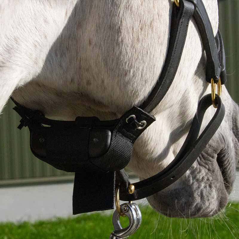 Alarm urodzin źrebiąt Foal Watch Lite 2.0