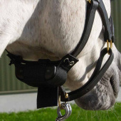 Alarm urodzin źrebiąt Foal Watch Lite 2.0 Alarm urodzin źrebiąt Foal Watch Lite 2.0