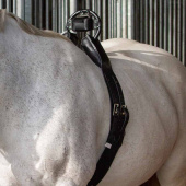 Alarm urodzin źrebiąt Foal Watch Lite 2.0 Alarm urodzin źrebiąt Foal Watch Lite 2.0