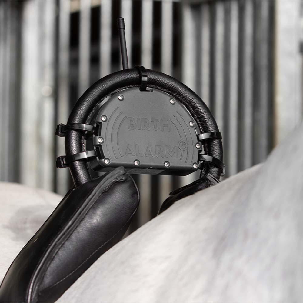 Alarm na narodziny źrebaków Mobile 2.0 z antypoślizgowym pasem i kamerą WiFi